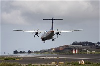 Ayoze Santana Mendez - Canary Islands Spotting. Click to see full size photo