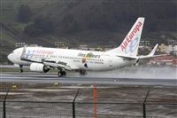Ayoze Santana Mendez - Canary Islands Spotting. Click to see full size photo