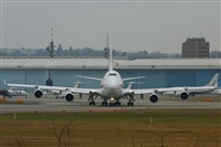 Rodrigo Carvalho - Noisy Spotters. Click to see full size photo