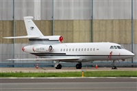Rodrigo Carvalho - Noisy Spotters. Click to see full size photo