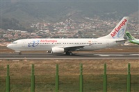 Alfonso Sols - Asociacin Canary Islands Spotting. Click to see full size photo