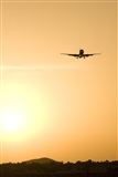 Ayoze Santana Mendez - Canary Islands Spotting. Click to see full size photo