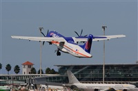 Gerardo A. Prez   Canary Islands Spotting. Click to see full size photo