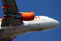 Rodrigo Carvalho - Noisy Spotters. Click to see full size photo