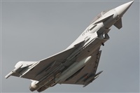 Gerardo A. Prez   Canary Islands Spotting. Click to see full size photo