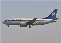 Rubn Gil - Noisy Spotters. Click to see full size photo
