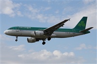 ©Alfonso Solís - Asociación Canary Islands Spotting. Click to see full size photo ©Alfonso Solís - Asociación Canary Islands Spotting. Click to see full size photo