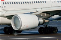 Gerardo A. Prez   Canary Islands Spotting. Click to see full size photo