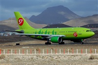 Miguel A. gueda Rguez.  (CANARY ISLANDS SPOTTING). Haz click para ampliar