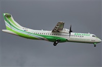 Rodrigo Carvalho - Noisy Spotters. Click to see full size photo