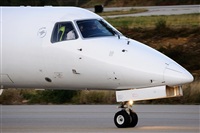 Miguel Martin Cordeiro - Iberian Spotters. Click to see full size photo