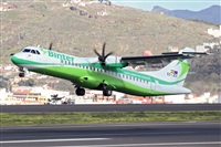 Javier de la Cruz - CANARY ISLANDS SPOTTING. Click to see full size photo