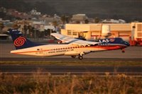 Javier de la Cruz - CANARY ISLANDS SPOTTING. Click to see full size photo
