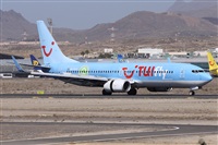 ©Alfonso Solís - Asociación Canary Islands Spotting. Click to see full size photo ©Alfonso Solís - Asociación Canary Islands Spotting. Click to see full size photo