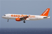 Alfonso Sols - Asociacin Canary Islands Spotting. Click to see full size photo