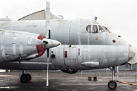 Jos Mara Rebs. Click to see full size photo