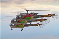 Rui Alves - Madeira Spotters. Haz click para ampliar
