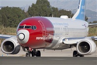Miguel Alia - Noisy Spotters. Click to see full size photo