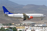Adolfo Bento - Gran Canaria Spotters. Click to see full size photo