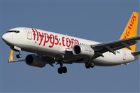 Rubn Gil - Noisy Spotters. Click to see full size photo