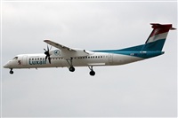 Adrin Alonso Lemes - Lanzarote Spotters. Click to see full size photo