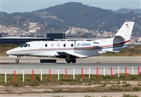 Miguel Alia - Noisy Spotters. Click to see full size photo