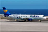 Alejandro Bethencourt (Canary Islands Spotting). Click to see full size photo