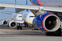 Miguel A. gueda Rguez.  (CANARY ISLANDS SPOTTING). Click to see full size photo