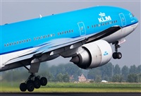 Miguel Alia - Noisy Spotters. Click to see full size photo