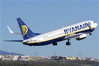 Saimon J Rodriguez   -   Canary Islands Spotting. Click to see full size photo