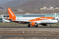 Alfonso Sols - Asociacin Canary Islands Spotting. Click to see full size photo