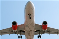 Miguel Martin Cordeiro - Iberian Spotters. Click to see full size photo