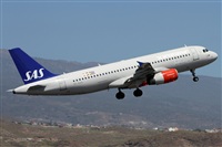 ©Alfonso Solís - Asociación Canary Islands Spotting. Click to see full size photo ©Alfonso Solís - Asociación Canary Islands Spotting. Click to see full size photo