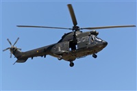 Fco Javier Garca Ruiz. Click to see full size photo