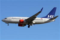 Alfonso Sols - Asociacin Canary Islands Spotting. Haz click para ampliar
