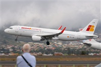 Miguel A. gueda Rguez.  (CANARY ISLANDS SPOTTING). Click to see full size photo