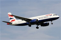 Alfonso Sols - Asociacin Canary Islands Spotting. Click to see full size photo