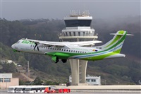 ©Daniel Santos Batista - Canary Islands Spotting. Click to see full size photo ©Daniel Santos Batista - Canary Islands Spotting. Click to see full size photo