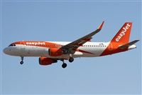 ©Alfonso Solís - Asociación Canary Islands Spotting. Click to see full size photo ©Alfonso Solís - Asociación Canary Islands Spotting. Click to see full size photo