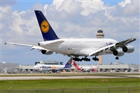 Miguel A. gueda Rguez.  (CANARY ISLANDS SPOTTING). Click to see full size photo