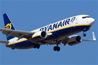 Saimon J Rodriguez   -   Canary Islands Spotting. Haz click para ampliar