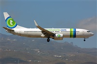 Miguel A. gueda Rguez.  (CANARY ISLANDS SPOTTING). Click to see full size photo