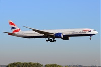 Miguel A. gueda Rguez.  (CANARY ISLANDS SPOTTING). Click to see full size photo