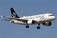 ©Alfonso Solís - Asociación Canary Islands Spotting. Click to see full size photo ©Alfonso Solís - Asociación Canary Islands Spotting. Click to see full size photo