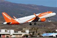 Alfonso Sols - Asociacin Canary Islands Spotting. Click to see full size photo