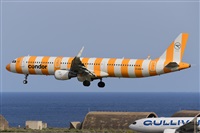 Miguel A. gueda Rguez.  (CANARY ISLANDS SPOTTING). Click to see full size photo