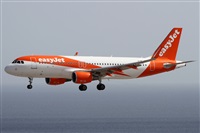 Alfonso Sols - Asociacin Canary Islands Spotting. Click to see full size photo