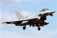 Alfonso Sols - Asociacin Canary Islands Spotting. Haz click para ampliar
