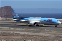 ©Alfonso Solís - Asociación Canary Islands Spotting. Click to see full size photo ©Alfonso Solís - Asociación Canary Islands Spotting. Click to see full size photo