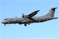 Manuel Fernandez. Click to see full size photo